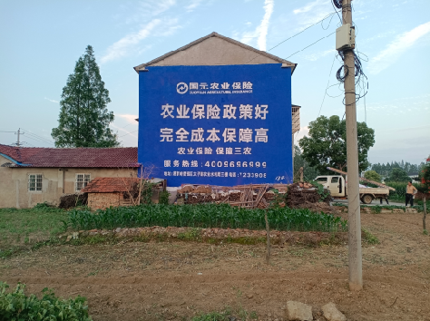 旺苍墙体广告为何受追捧？